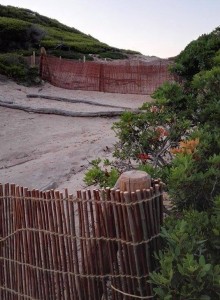 kommentarer fra klienter 