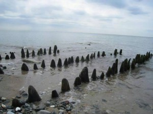 kommentarer fra klienter 